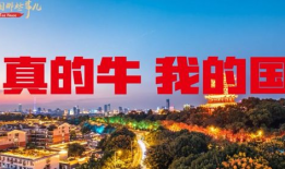 视频中国,视频中的文化瑰宝与时代变迁