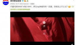 黑人交配视频,一场禁忌的视觉之旅